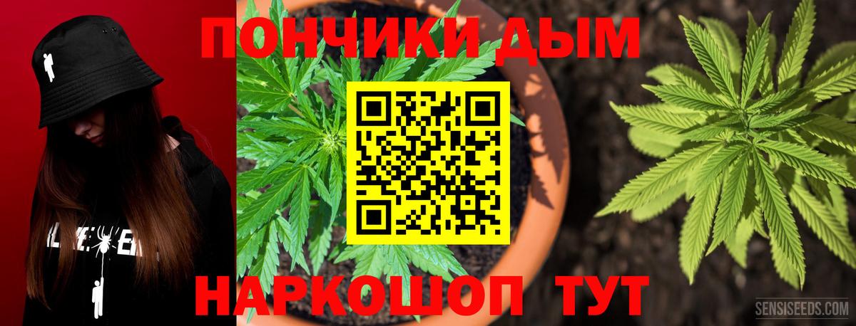 Бошки марихуана семена  Вход с VPN  Феодосия  Канабис индика  МАРИХУАНА планчик  Каннабис Bruce Banner 